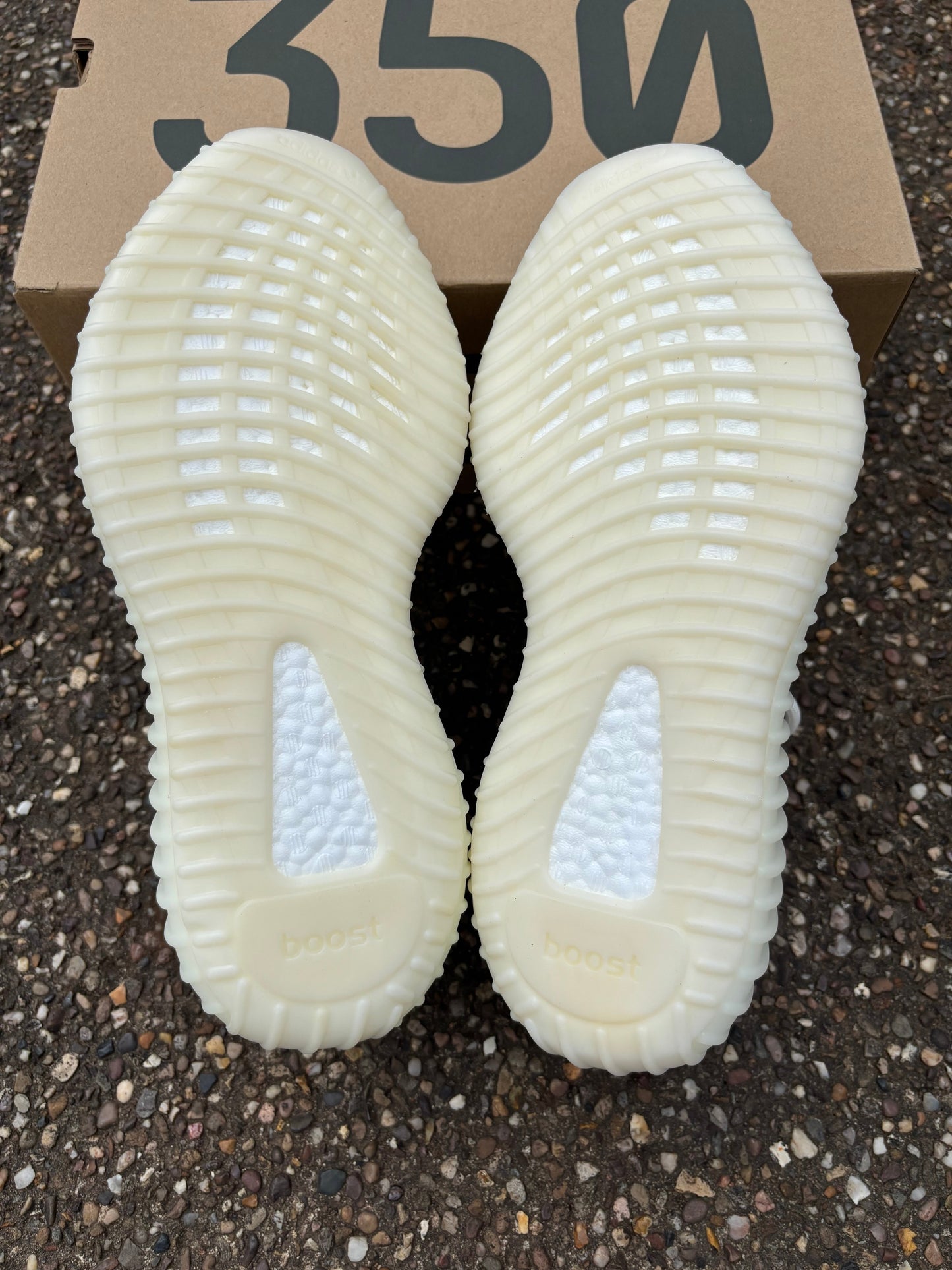 Yeezy Boost 350 V2 Bone